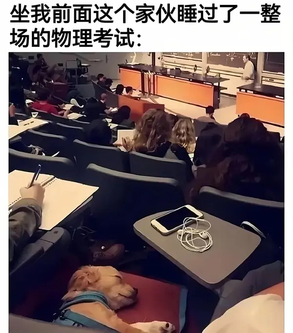 今日沙雕： 你每吃一個(gè)鴨腿，世界上就會(huì)多一只殘疾的鴨子宣傳圖24