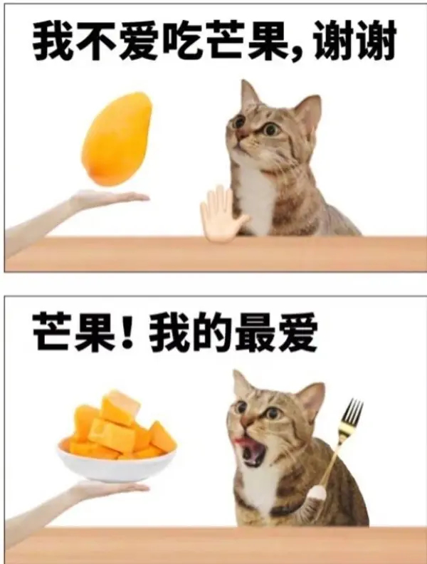 今日沙雕： 你每吃一個(gè)鴨腿，世界上就會(huì)多一只殘疾的鴨子宣傳圖50