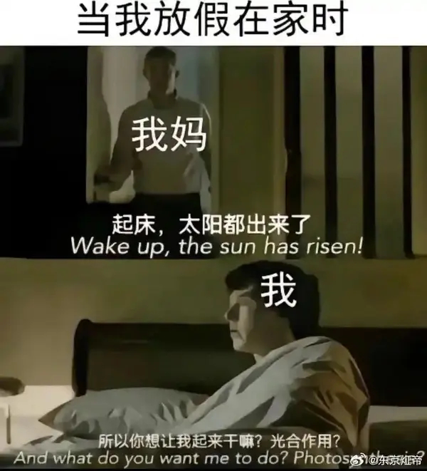 今日沙雕： 你每吃一個(gè)鴨腿，世界上就會(huì)多一只殘疾的鴨子宣傳圖56