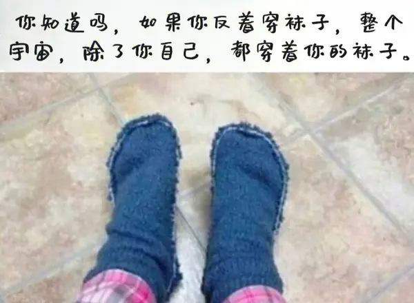今日沙雕： 你每吃一個(gè)鴨腿，世界上就會(huì)多一只殘疾的鴨子宣傳圖80