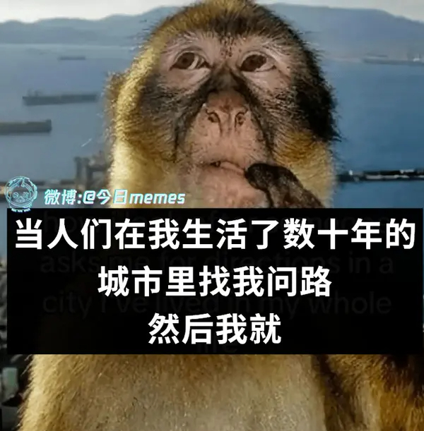 今日沙雕： 你每吃一個(gè)鴨腿，世界上就會(huì)多一只殘疾的鴨子宣傳圖122