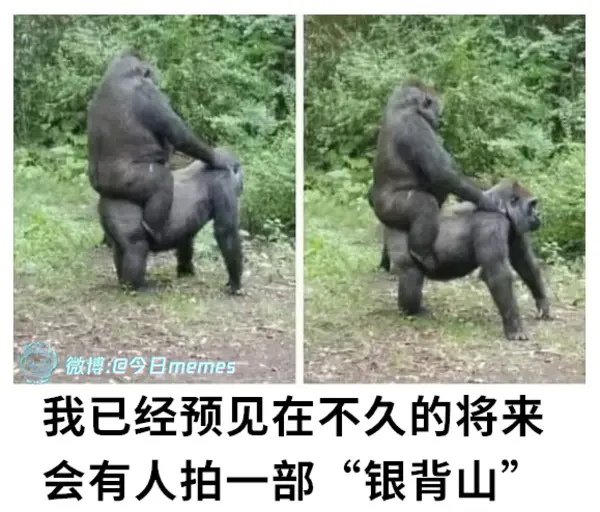 今日沙雕： 你每吃一個(gè)鴨腿，世界上就會(huì)多一只殘疾的鴨子宣傳圖123