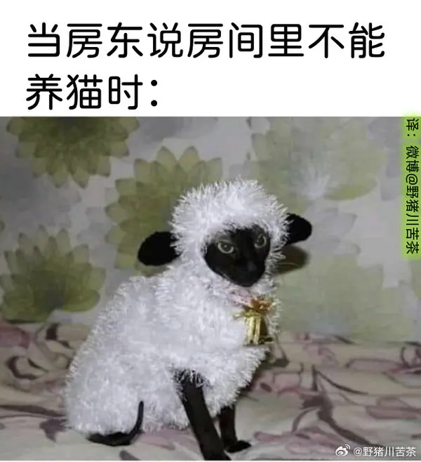 今日沙雕： 你每吃一個(gè)鴨腿，世界上就會(huì)多一只殘疾的鴨子宣傳圖126
