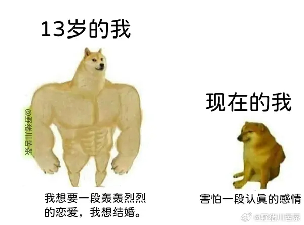 今日沙雕： 你每吃一個(gè)鴨腿，世界上就會(huì)多一只殘疾的鴨子宣傳圖127
