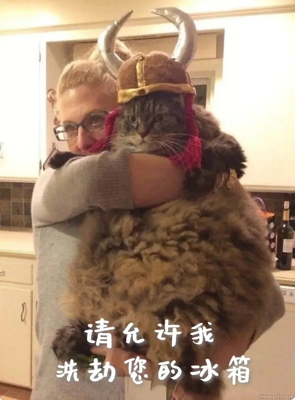 今日沙雕： 孙悟空寂寞了去动物园还是去采石场？宣传图5