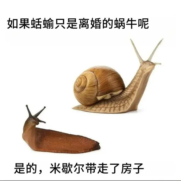 今日沙雕： 孙悟空寂寞了去动物园还是去采石场？宣传图23