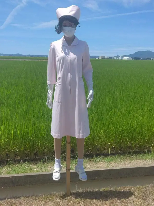 今日沙雕： 孙悟空寂寞了去动物园还是去采石场？宣传图27