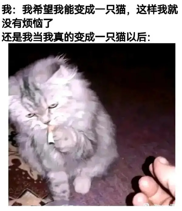 今日沙雕： 孙悟空寂寞了去动物园还是去采石场？宣传图30