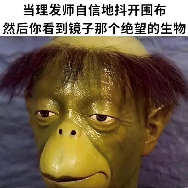 今日沙雕： 孙悟空寂寞了去动物园还是去采石场？宣传图37