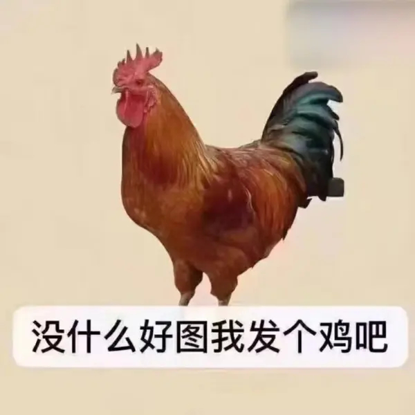 今日沙雕： 孙悟空寂寞了去动物园还是去采石场？宣传图66