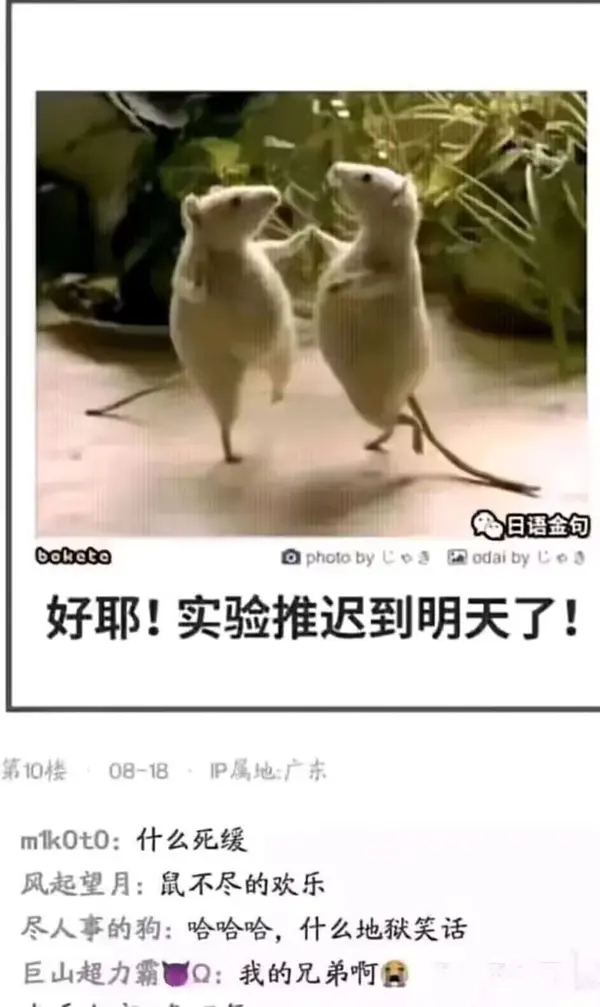 今日沙雕： 孙悟空寂寞了去动物园还是去采石场？宣传图71