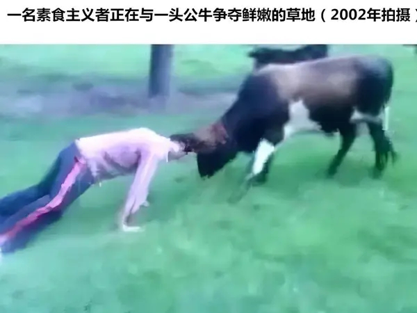 今日沙雕： 孙悟空寂寞了去动物园还是去采石场？宣传图89