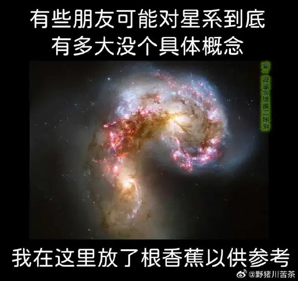 今日沙雕： 孙悟空寂寞了去动物园还是去采石场？宣传图102