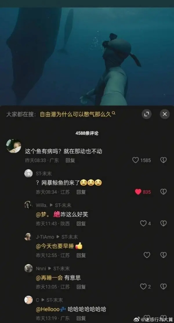 今日沙雕：藝考失敗是不是只能二戰(zhàn)？宣傳圖4
