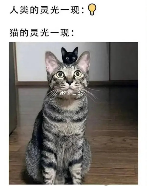 今日沙雕：藝考失敗是不是只能二戰(zhàn)？宣傳圖53