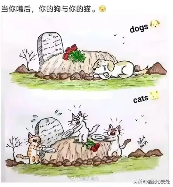 今日沙雕：藝考失敗是不是只能二戰(zhàn)？宣傳圖78