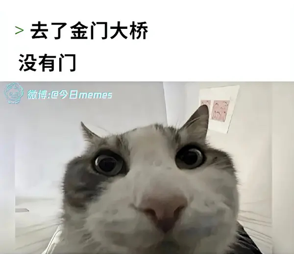 今日沙雕：聋哑人会不会用手语打呼噜宣传图5