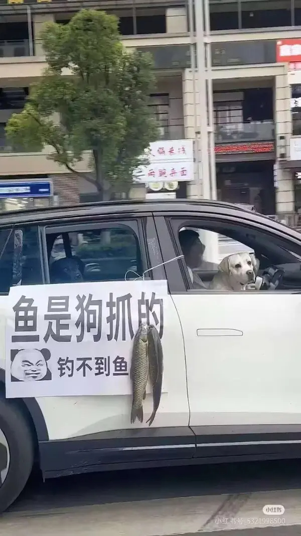 今日沙雕：聋哑人会不会用手语打呼噜宣传图21