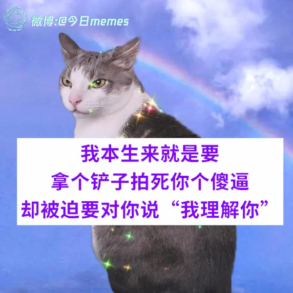 今日沙雕：聋哑人会不会用手语打呼噜宣传图38