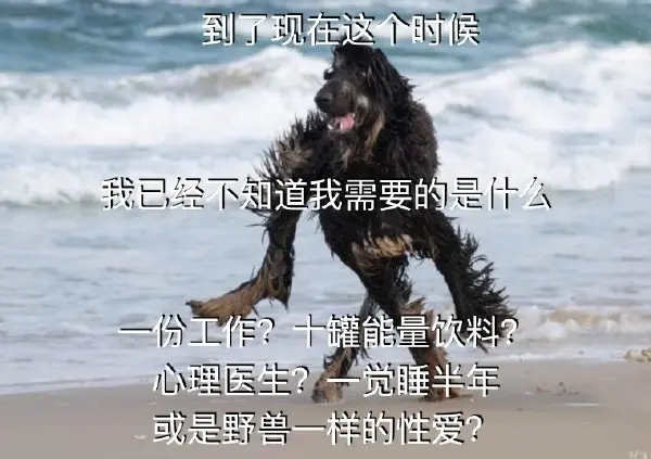 今日沙雕：黑人穿黑丝是不是等于穿肉丝？宣传图100
