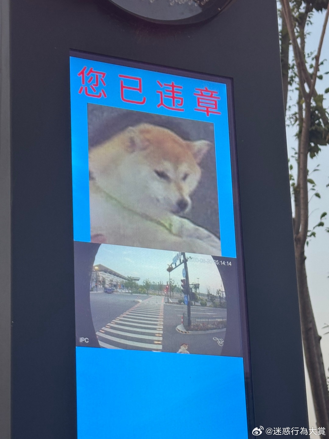 今日沙雕：大伙儿有没有适合开车时玩的游戏推荐一下宣传图22