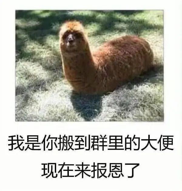 今日沙雕：大伙儿有没有适合开车时玩的游戏推荐一下宣传图69