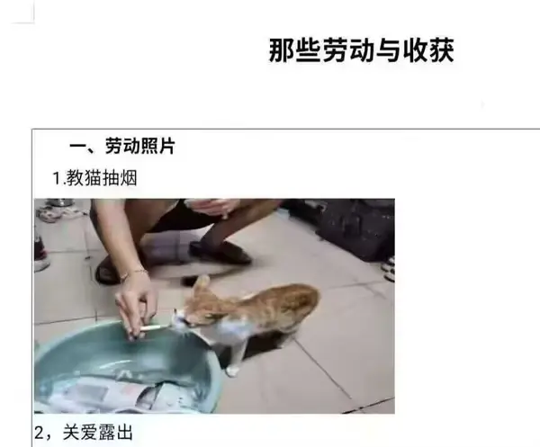 今日沙雕：大伙儿有没有适合开车时玩的游戏推荐一下宣传图71