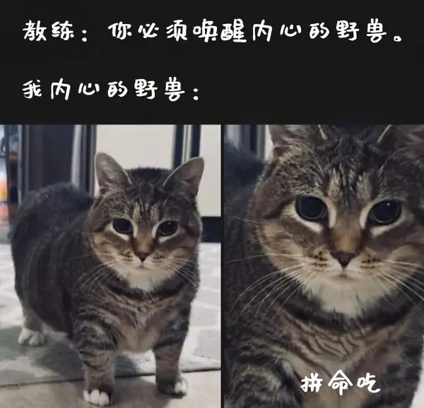 今日沙雕：大伙儿有没有适合开车时玩的游戏推荐一下宣传图86
