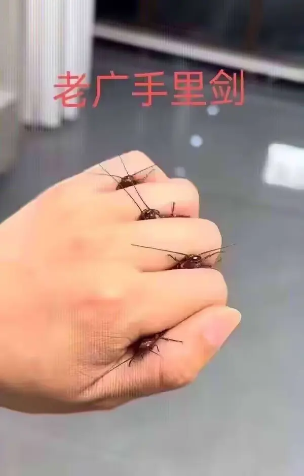 今日沙雕：强势老婆要求儿子性别随她我该怎么办宣传图26