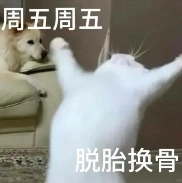 今日沙雕：强势老婆要求儿子性别随她我该怎么办宣传图32