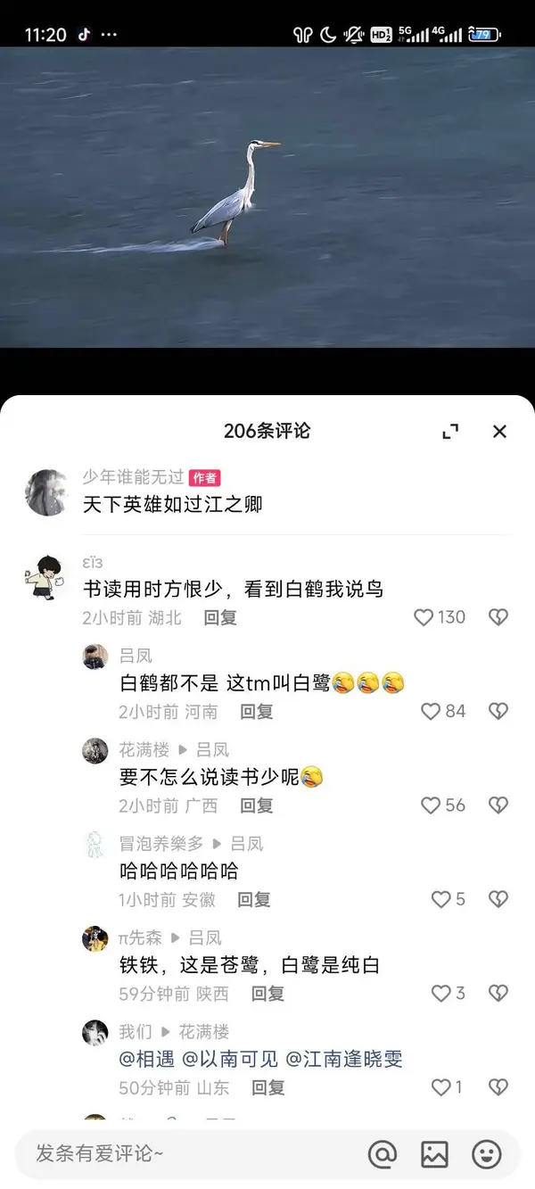 今日沙雕：强势老婆要求儿子性别随她我该怎么办宣传图38