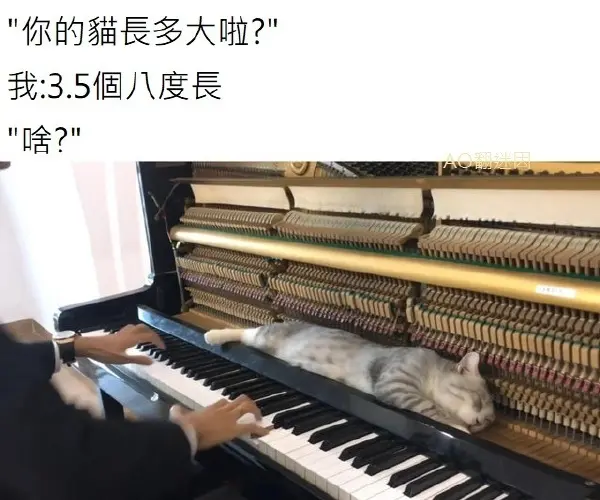 今日沙雕：如何有效利用睡眠过程中耗费的时间宣传图1