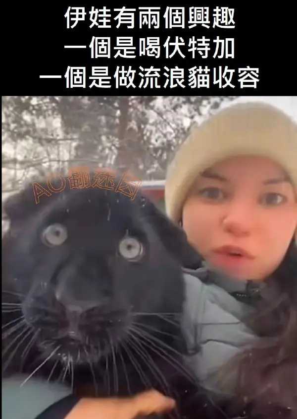 今日沙雕：如何有效利用睡眠过程中耗费的时间宣传图6
