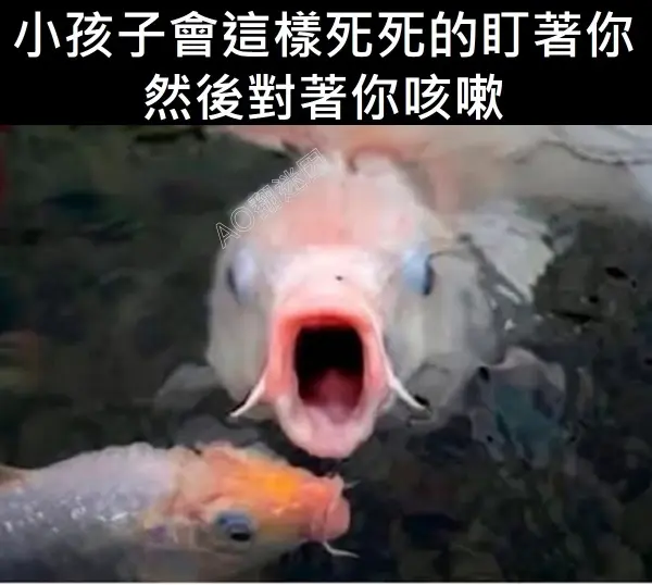 今日沙雕：如何有效利用睡眠过程中耗费的时间宣传图8