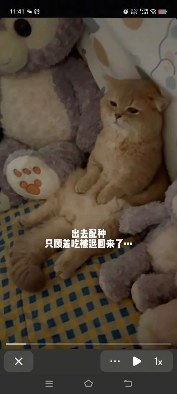 今日沙雕：如何有效利用睡眠过程中耗费的时间宣传图28