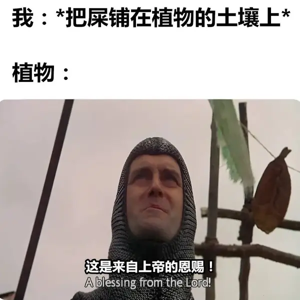 今日沙雕：如何有效利用睡眠过程中耗费的时间宣传图41