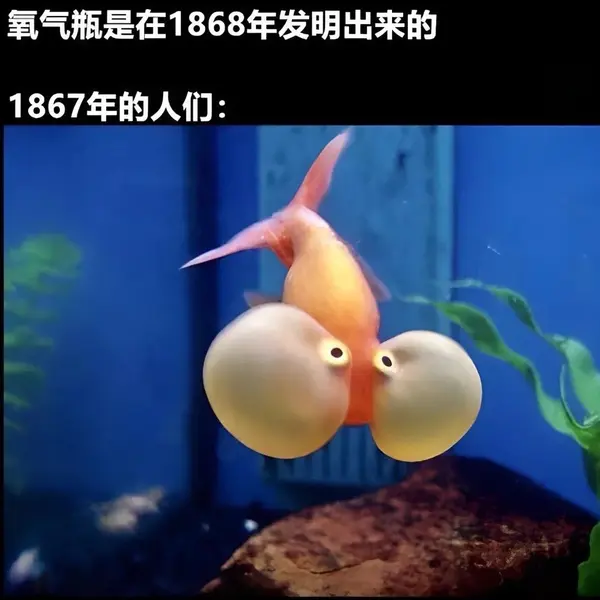 今日沙雕：如何有效利用睡眠过程中耗费的时间宣传图43