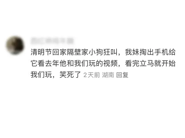 今日沙雕：如何有效利用睡眠过程中耗费的时间宣传图49