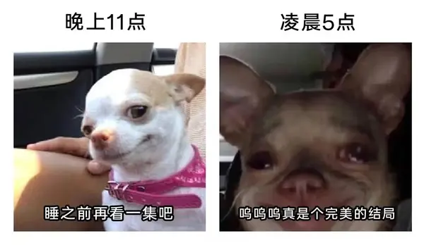 今日沙雕：如何有效利用睡眠过程中耗费的时间宣传图63