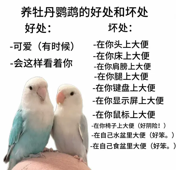 今日沙雕：如何有效利用睡眠过程中耗费的时间宣传图76