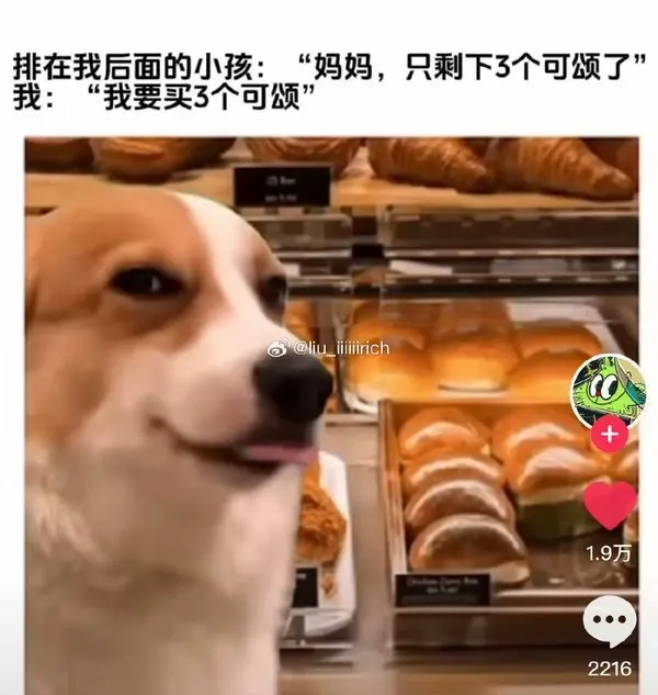 今日沙雕：如何有效利用睡眠过程中耗费的时间宣传图105