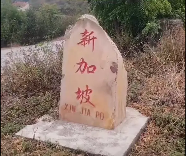 今日沙雕：如何有效利用睡眠过程中耗费的时间宣传图131