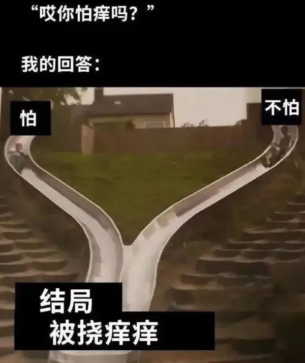 今日沙雕：如何有效利用睡眠过程中耗费的时间宣传图137