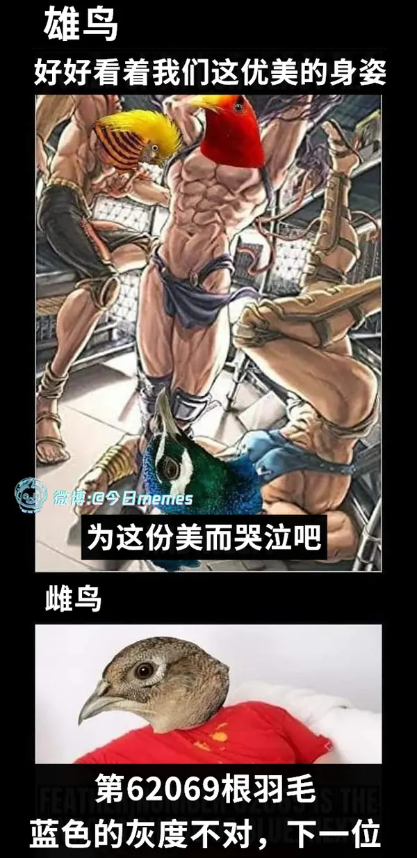 今日沙雕：如何有效利用睡眠过程中耗费的时间宣传图181