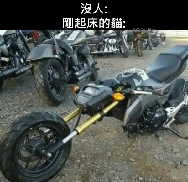 今日沙雕：如果天子是龙，那太子算不算奶龙宣传图23