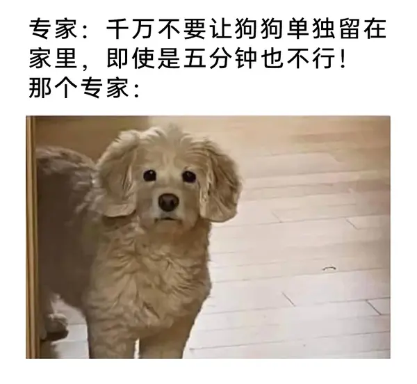 今日沙雕：如果天子是龙，那太子算不算奶龙宣传图44