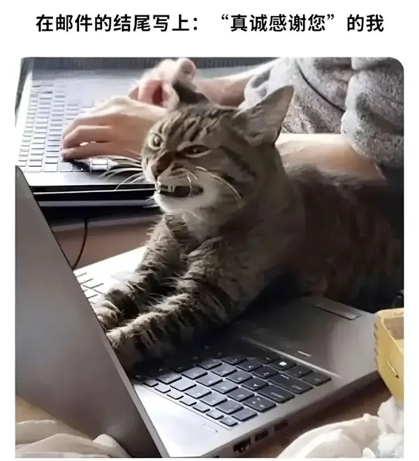 今日沙雕：如果天子是龙，那太子算不算奶龙宣传图88