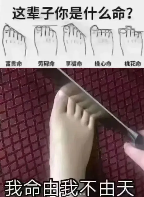 今日沙雕：如果天子是龙，那太子算不算奶龙宣传图112