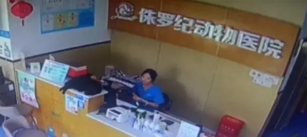 今日沙雕：如果天子是龙，那太子算不算奶龙宣传图145