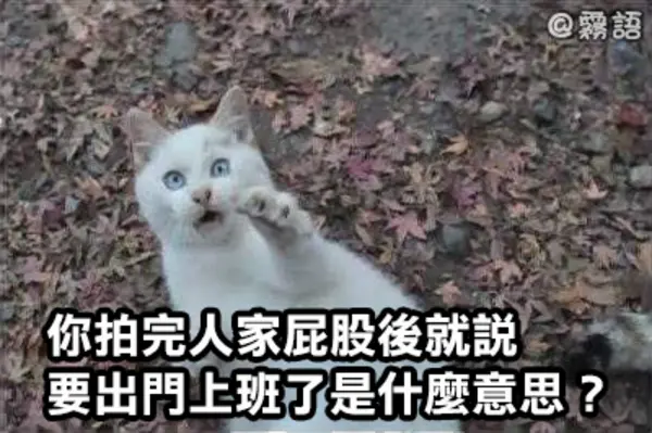 今日沙雕：如果天子是龙，那太子算不算奶龙宣传图229